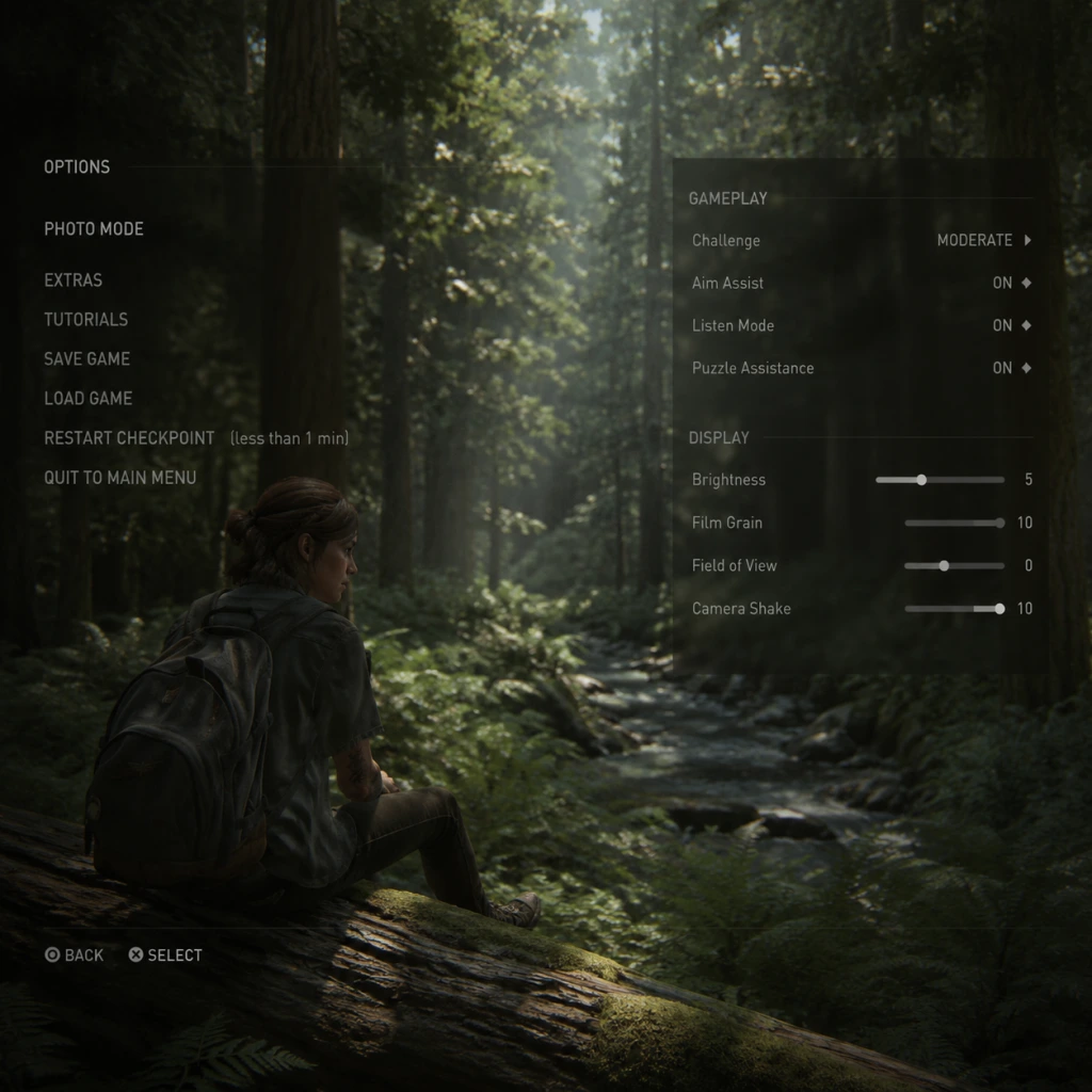 The Last of Us Part II Game Settings guide screenshot