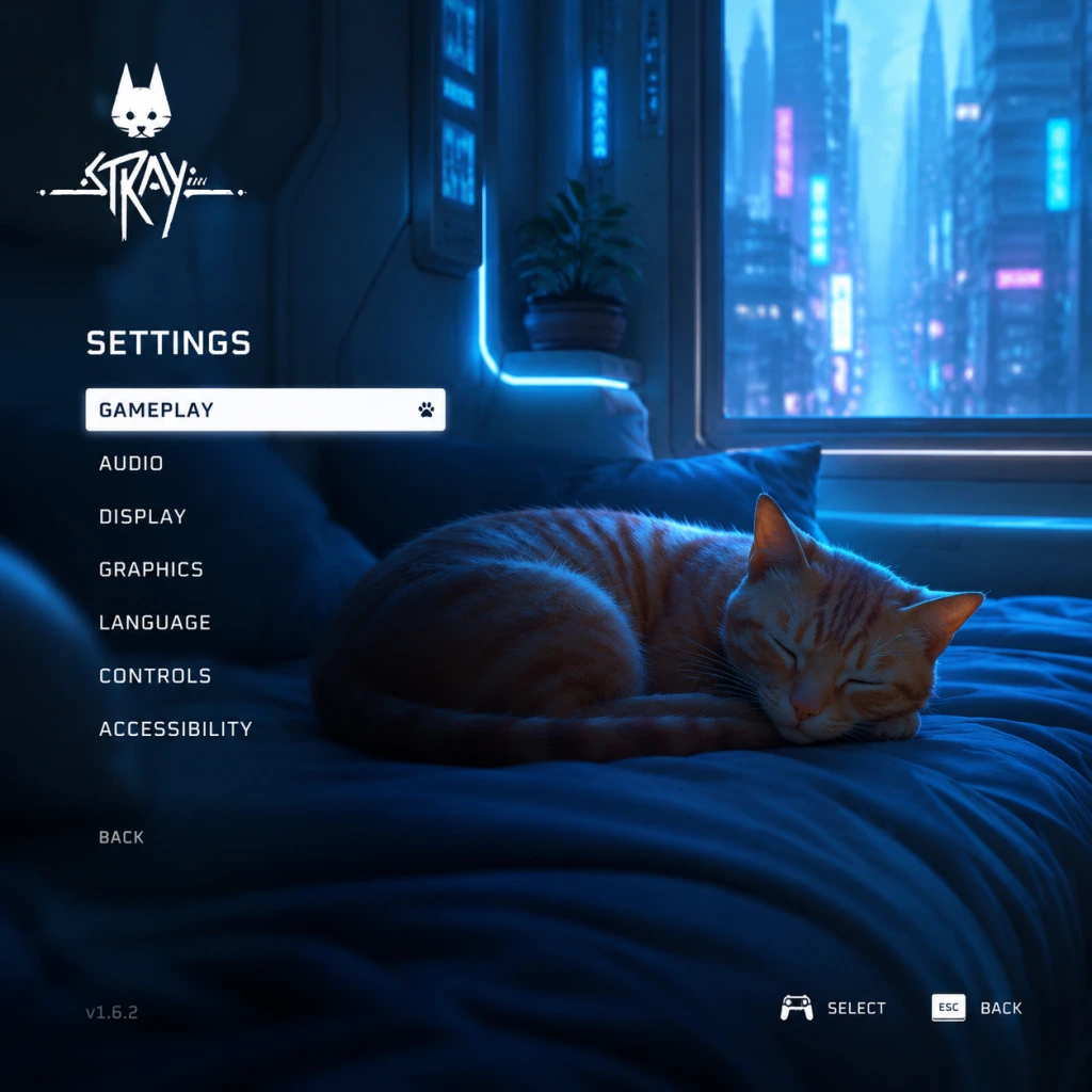 Stray Game Settings guide screenshot